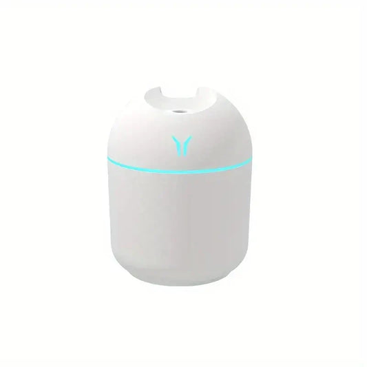 USB-Powered Humidifier & Diffuser – Long-Term Spray & Auto Shut-Off!